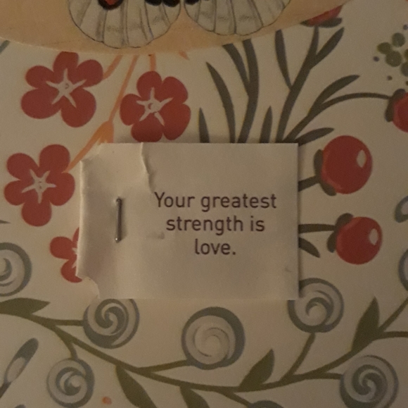 Meet your Posher, Amy - Picture 2 of 8